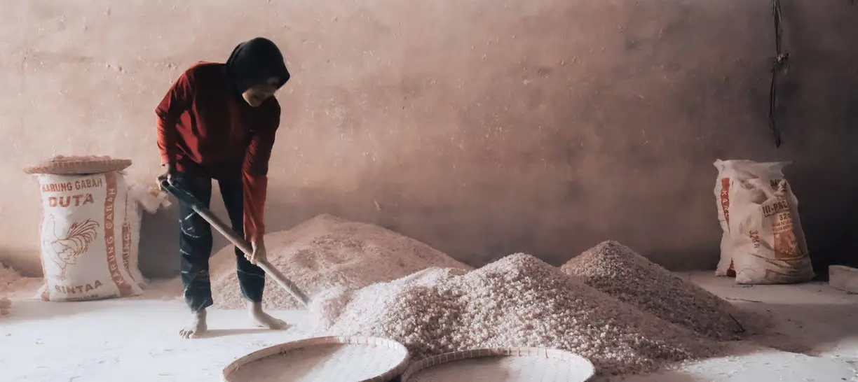 Wholesale Damar Resin Exporter Indonesia