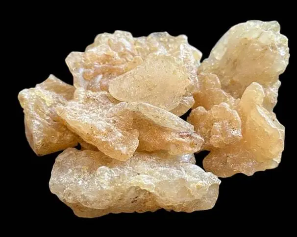 Premium Gum Copal natural resin lumps for high-quality varnish, lacquers, and dental adhesives